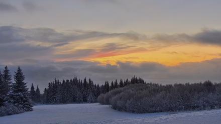 Inspiration Ridge - Homer Alaska Live Webcam - Jan 14, 2026, 9:25am AKST