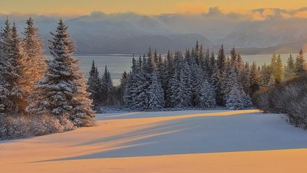 Inspiration Ridge - Homer Alaska Live Webcam - Jan 7, 2026, 10:50am AKST
