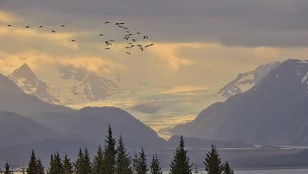 Inspiration Ridge - Homer Alaska Live Webcam - Sep 7, 2025, 10:01am AKDT