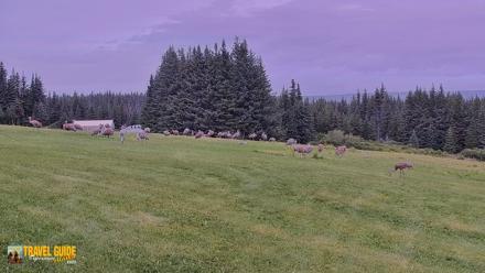 Inspiration Ridge - Homer Alaska Live Webcam - Aug 24, 2026, 4:56pm AKDT