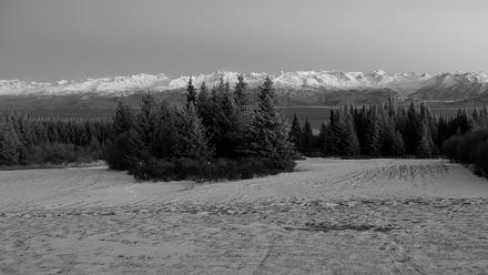 Inspiration Ridge - Homer Alaska Live Webcam - Dec 31, 2025, 4:51pm AKST