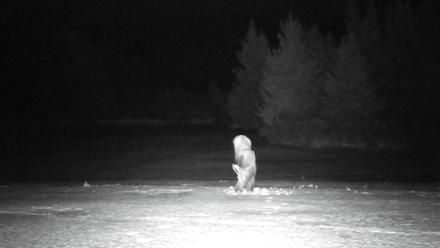 Inspiration Ridge - Homer Alaska Live Webcam - Jan 21, 2026, 10:51pm AKST