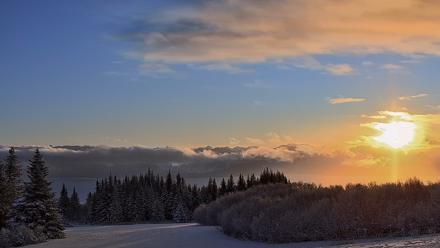 Inspiration Ridge - Homer Alaska Live Webcam - Jan 14, 2026, 10:33am AKST