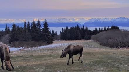 Inspiration Ridge - Homer Alaska Live Webcam - Dec 22, 2025, 2:45pm AKST