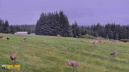 Inspiration Ridge - Homer Alaska Live Webcam - Aug 21, 2026, 11:11am AKDT