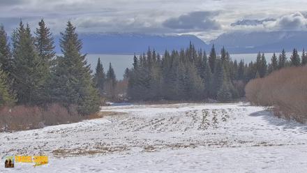 Inspiration Ridge - Homer Alaska Live Webcam - Apr 18, 2026, 12:11pm AKDT