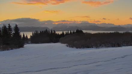 Inspiration Ridge - Homer Alaska Live Webcam - Feb 15, 2026, 8:49am AKST