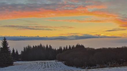 Inspiration Ridge - Homer Alaska Live Webcam - Nov 28, 2025, 9:42am AKST