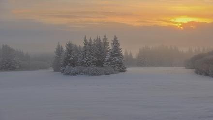 Inspiration Ridge - Homer Alaska Live Webcam - Feb 12, 2026, 9:15am AKST