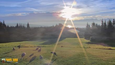Inspiration Ridge - Homer Alaska Live Webcam - Sep 3, 2026, 7:46am AKDT