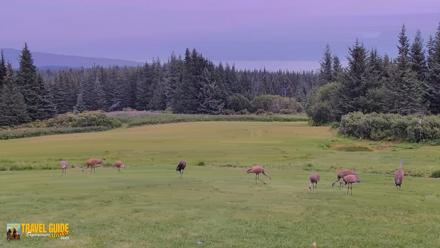 Inspiration Ridge - Homer Alaska Live Webcam - Aug 24, 2026, 4:55pm AKDT