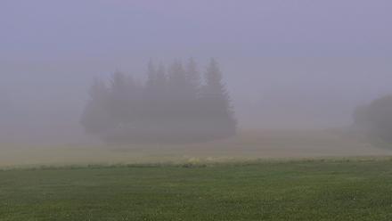 Inspiration Ridge - Homer Alaska Live Webcam - Oct 7, 2025, 9:18am AKDT