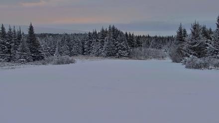Inspiration Ridge - Homer Alaska Live Webcam - Jan 14, 2026, 4:15pm AKST
