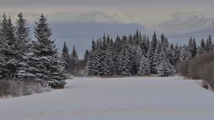 Inspiration Ridge - Homer Alaska Live Webcam - Jan 5, 2026, 10:30am AKST