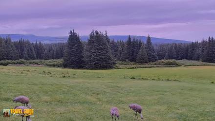 Inspiration Ridge - Homer Alaska Live Webcam - Aug 28, 2026, 12:59pm AKDT