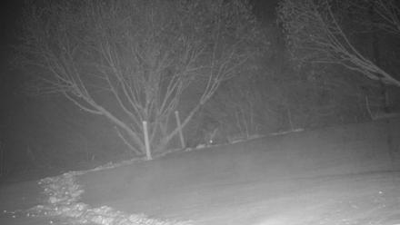 Inspiration Ridge - Homer Alaska Live Webcam - Jan 6, 2026, 2:02am AKST