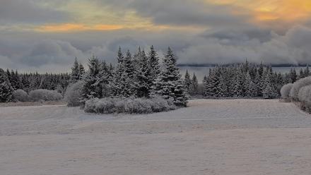 Inspiration Ridge - Homer Alaska Live Webcam - Nov 4, 2025, 9:34am AKST