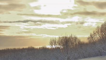 Inspiration Ridge - Homer Alaska Live Webcam - Feb 13, 2026, 11:33am AKST