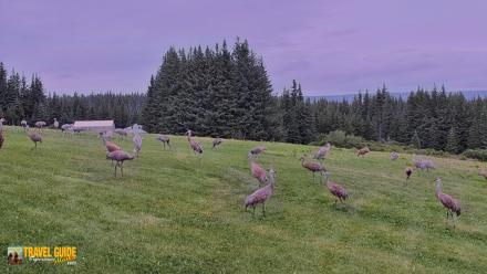 Inspiration Ridge - Homer Alaska Live Webcam - Aug 24, 2026, 5:10pm AKDT
