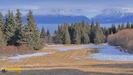Inspiration Ridge - Homer Alaska Live Webcam - Apr 15, 2026, 6:29pm AKDT