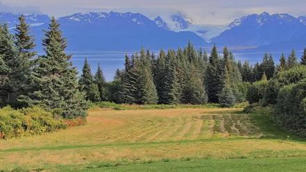 Inspiration Ridge - Homer Alaska Live Webcam - Aug 31, 2025, 5:18pm AKDT