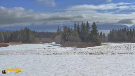 Inspiration Ridge - Homer Alaska Live Webcam - Apr 18, 2026, 12:12pm AKDT