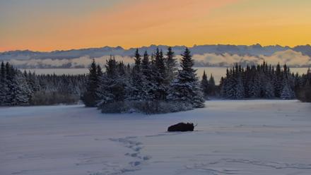 Inspiration Ridge - Homer Alaska Live Webcam - Jan 8, 2026, 2:16pm AKST