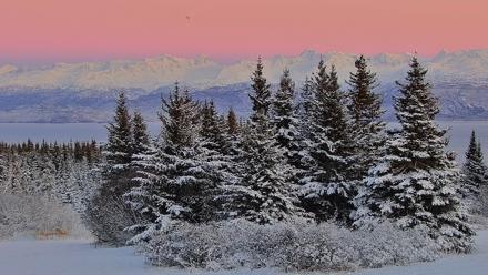 Inspiration Ridge - Homer Alaska Live Webcam - Nov 23, 2025, 4:53pm AKST