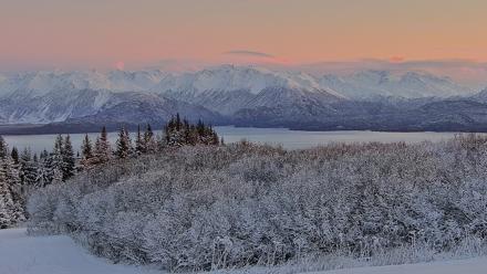 Inspiration Ridge - Homer Alaska Live Webcam - Nov 22, 2025, 4:39pm AKST