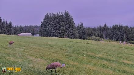Inspiration Ridge - Homer Alaska Live Webcam - Aug 21, 2026, 11:08am AKDT