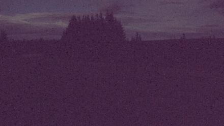 Snapshot Preview Image