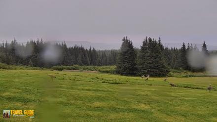 Inspiration Ridge - Homer Alaska Live Webcam - Aug 22, 2026, 8:15am AKDT