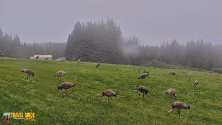 Inspiration Ridge - Homer Alaska Live Webcam - Aug 25, 2026, 12:23pm AKDT