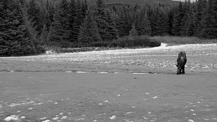 Inspiration Ridge - Homer Alaska Live Webcam - Dec 3, 2025, 4:24pm AKST