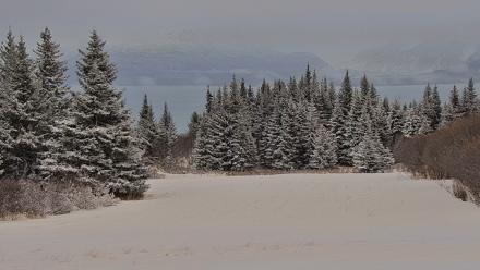 Inspiration Ridge - Homer Alaska Live Webcam - Jan 5, 2026, 3:26pm AKST