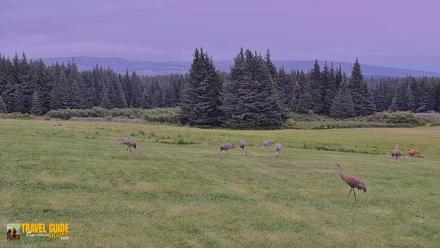 Inspiration Ridge - Homer Alaska Live Webcam - Aug 24, 2026, 4:57pm AKDT