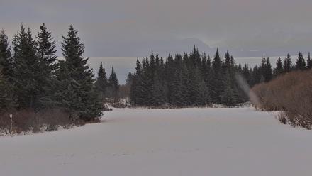 Inspiration Ridge - Homer Alaska Live Webcam - Jan 17, 2026, 10:45am AKST