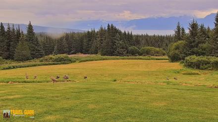 Inspiration Ridge - Homer Alaska Live Webcam - Aug 19, 2026, 4:51pm AKDT