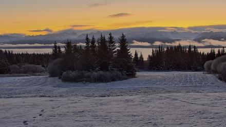 Inspiration Ridge - Homer Alaska Live Webcam - Nov 8, 2025, 10:55am AKST