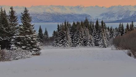 Inspiration Ridge - Homer Alaska Live Webcam - Nov 24, 2025, 4:50pm AKST