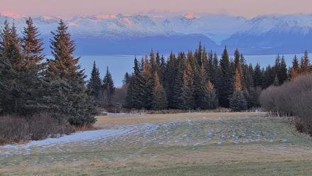 Inspiration Ridge - Homer Alaska Live Webcam - Dec 24, 2025, 3:54pm AKST