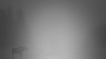 Inspiration Ridge - Homer Alaska Live Webcam - Nov 1, 2025, 8:27pm AKDT