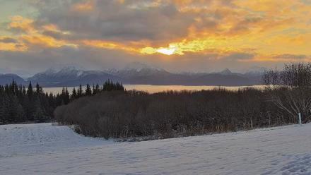 Inspiration Ridge - Homer Alaska Live Webcam - Nov 19, 2025, 9:47am AKST