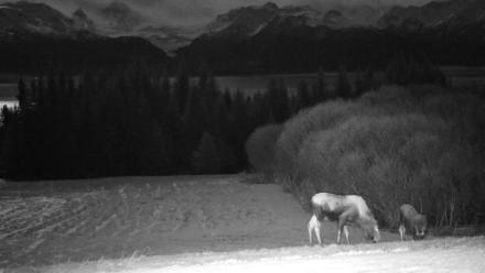 Inspiration Ridge - Homer Alaska Live Webcam - Dec 2, 2025, 7:22pm AKST