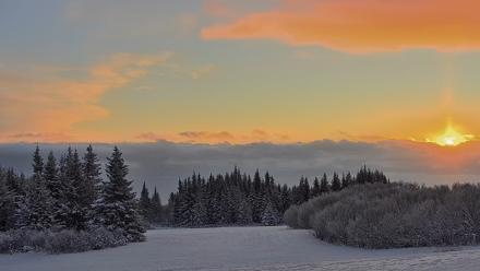 Inspiration Ridge - Homer Alaska Live Webcam - Jan 14, 2026, 10:09am AKST