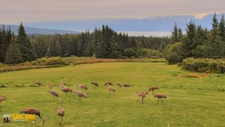 Inspiration Ridge - Homer Alaska Live Webcam - Sep 4, 2026, 12:20pm AKDT
