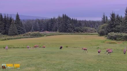 Inspiration Ridge - Homer Alaska Live Webcam - Aug 24, 2026, 4:59pm AKDT