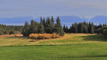 Inspiration Ridge - Homer Alaska Live Webcam - Oct 7, 2025, 3:08pm AKDT