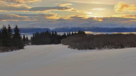 Inspiration Ridge - Homer Alaska Live Webcam - Jan 30, 2026, 10:10am AKST