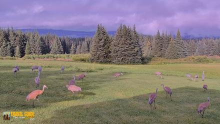 Inspiration Ridge - Homer Alaska Live Webcam - Aug 25, 2026, 8:40pm AKDT